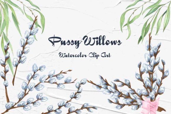 Pussy Willow Watercolor Clipart: Soft Illustrations for Blogs