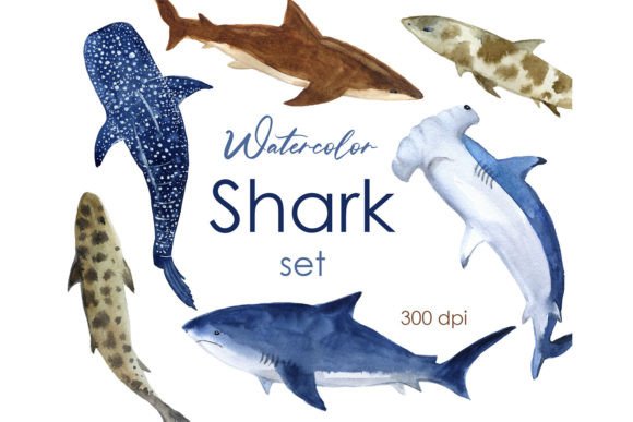 Watercolor Baby Shark Clipart: Fresh Illustrations