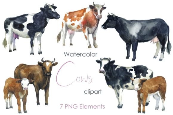 Watercolor Cow Clipart: Farm Illustrations for Branding