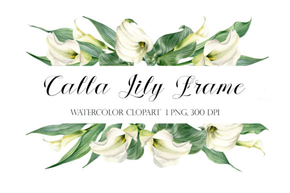 Watercolor Floral Frame Calla Lily: Elegant Illustrations