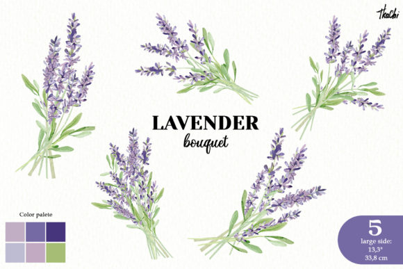 Watercolor Lavender Clipart: Premium Illustrations