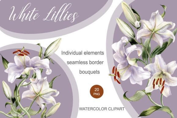 Watercolor Lilly Flower Clipart & Illustrations Review