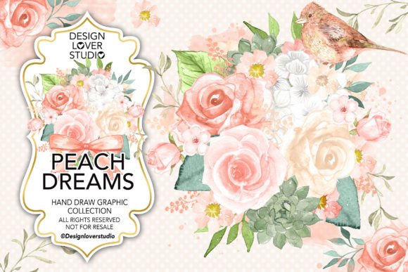 Watercolor PEACH DREAMS: Fresh Illustrations