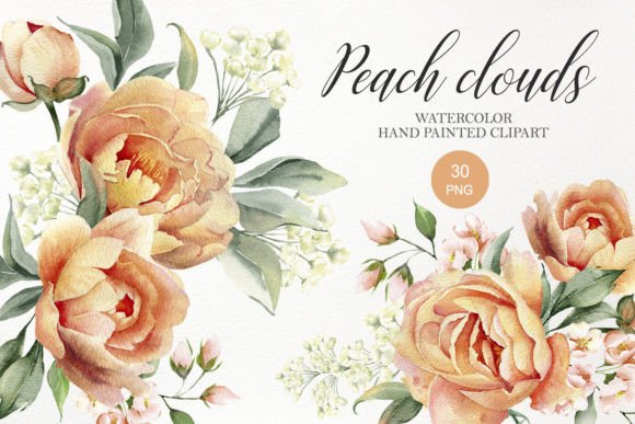 Watercolor Peach Peony Flower Clipart: Premium Illustrations