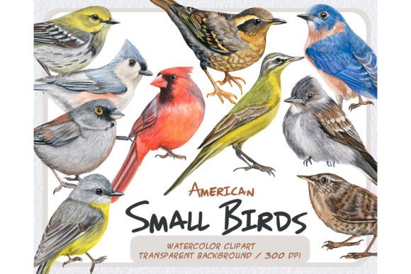Watercolor Realistic Small Birds Clipart & Illustrations