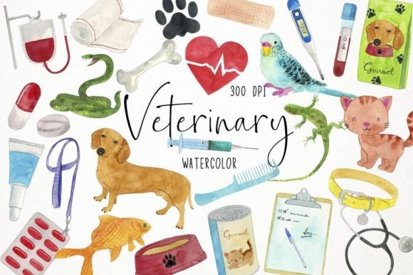 Watercolor Veterinary Clipart, Vet: Soft Illustrations