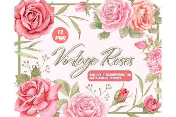 Watercolor Vintage Roses Clipart & Illustrations Review