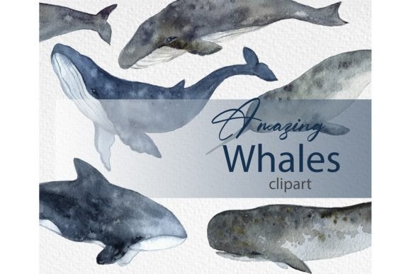 Watercolor Whale Art: Perfect Illustrations